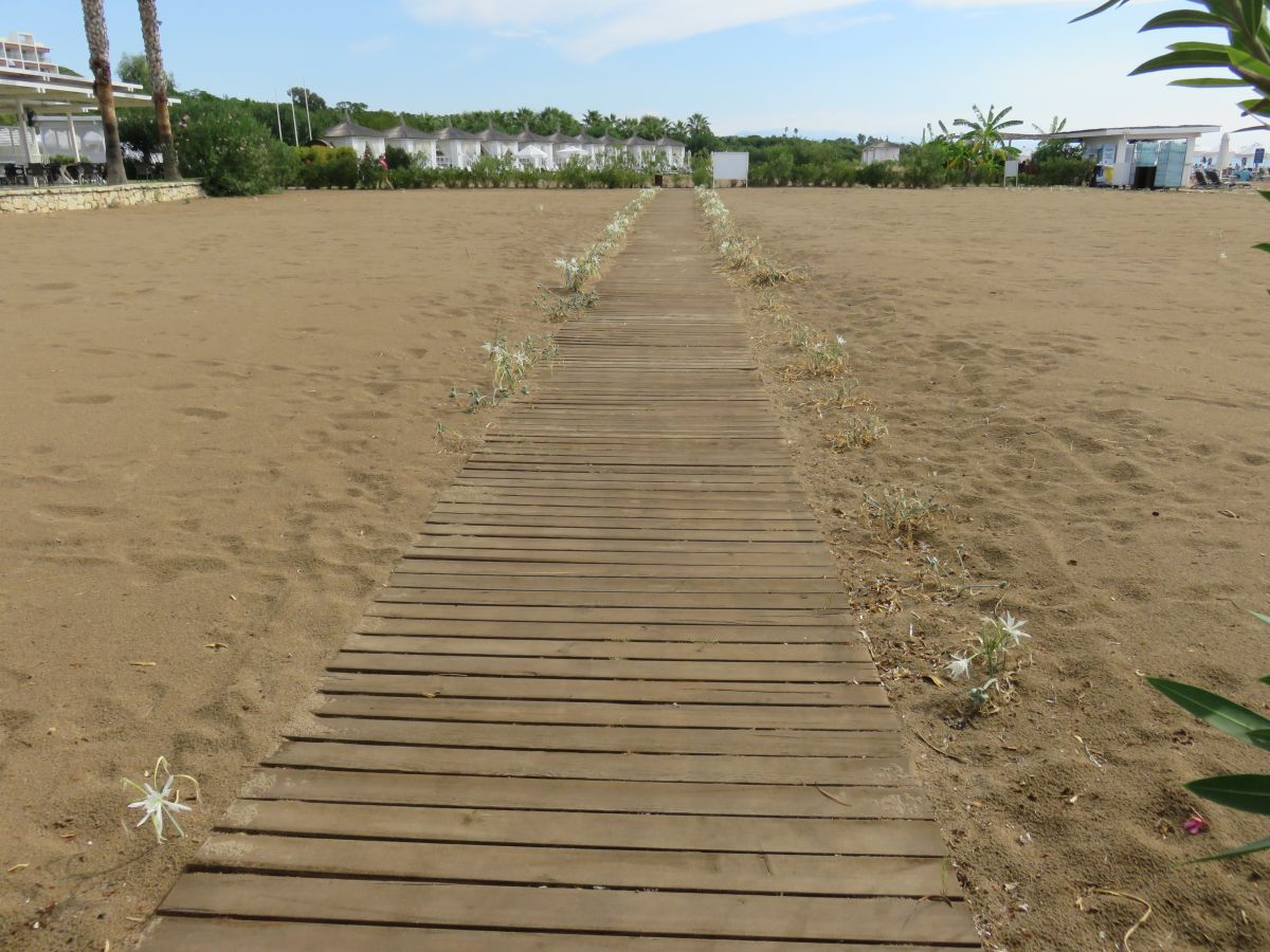 imagini hotel Barut Sorgun